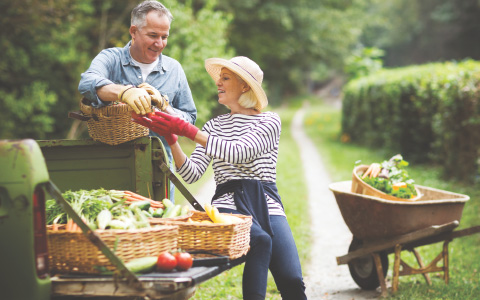 Paradigm Home Health - Orthopedic Care